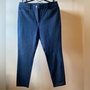 Blue Curvy Skinny Pants Size 10 LOFT